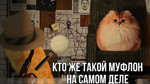 КТО ТАКОЙ МУФЛОН???