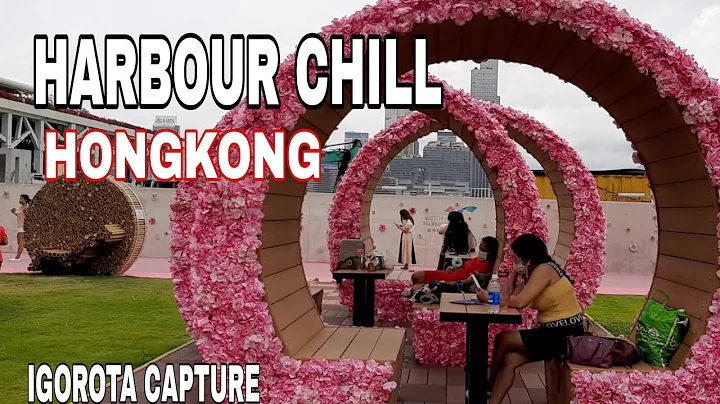 HARBOUR CHILL IN WANCHAI HONGKONG|GOLDEN BAUHENIA SQUARE