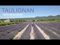 Ref:_tcyWdNmiPc Taulignan, terre de lavande