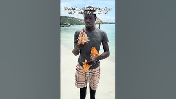 How to Remove a Conch from Its Shell: Step-by-Step Guide #Seafood #SeafoodLover #Travel #Shorts