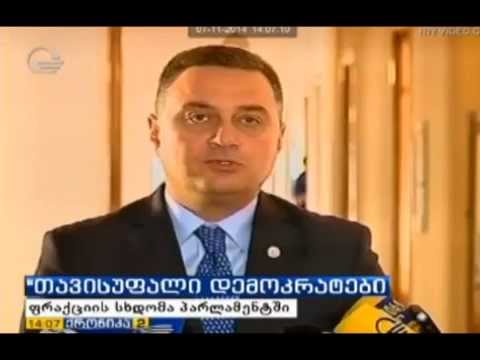 ვიქტორ დოლიძის კომენტარი ფრაქციის სხდომასთან დაკავშირებით