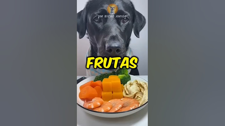 What fruits can your dog eat? Find out now!