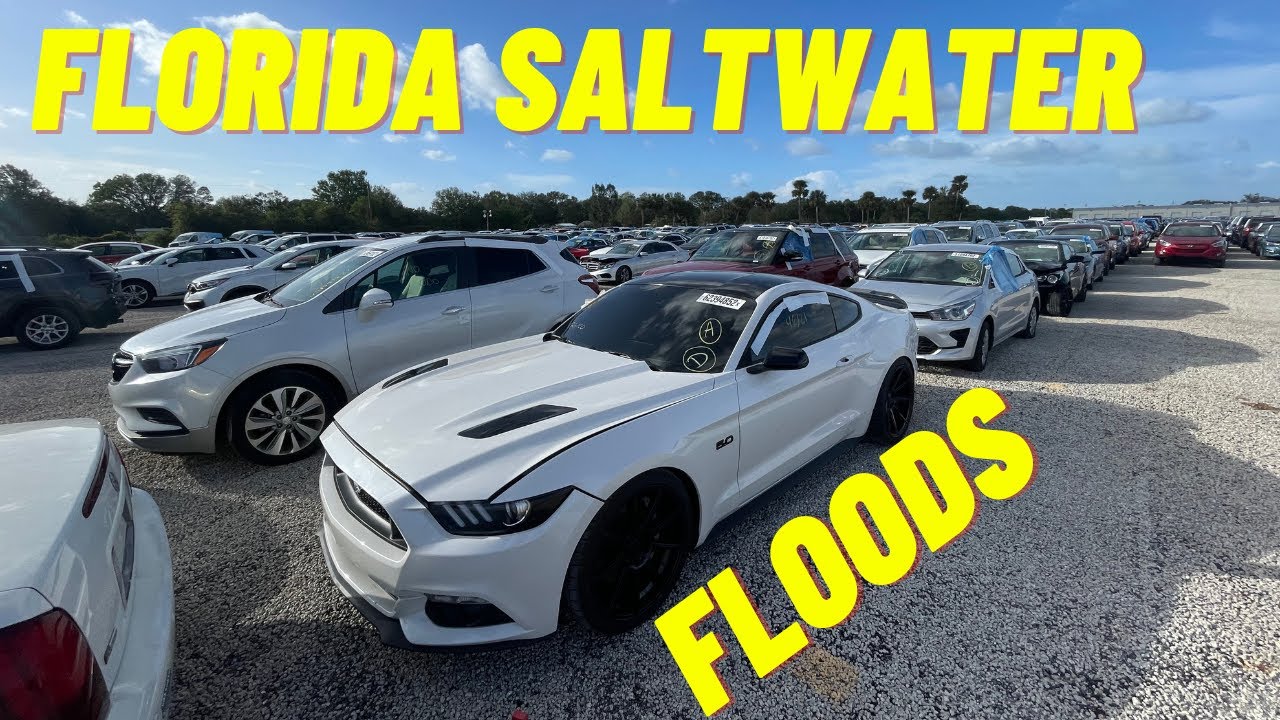 ARE SALTWATER FLOOD CARS EVEN WORTH BUYING? YouTube