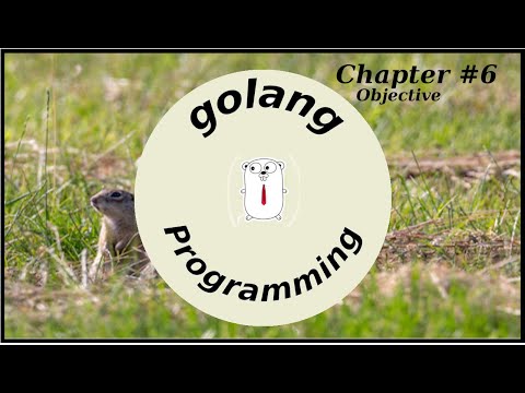 Chapter 6 Objective