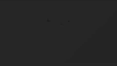 Automatic bottle tracking type bottle crew capping machine with two heads