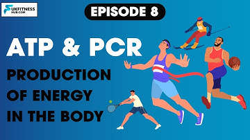 Sports and Exercise Science EP8: Energy Production Systems ATP / PCR