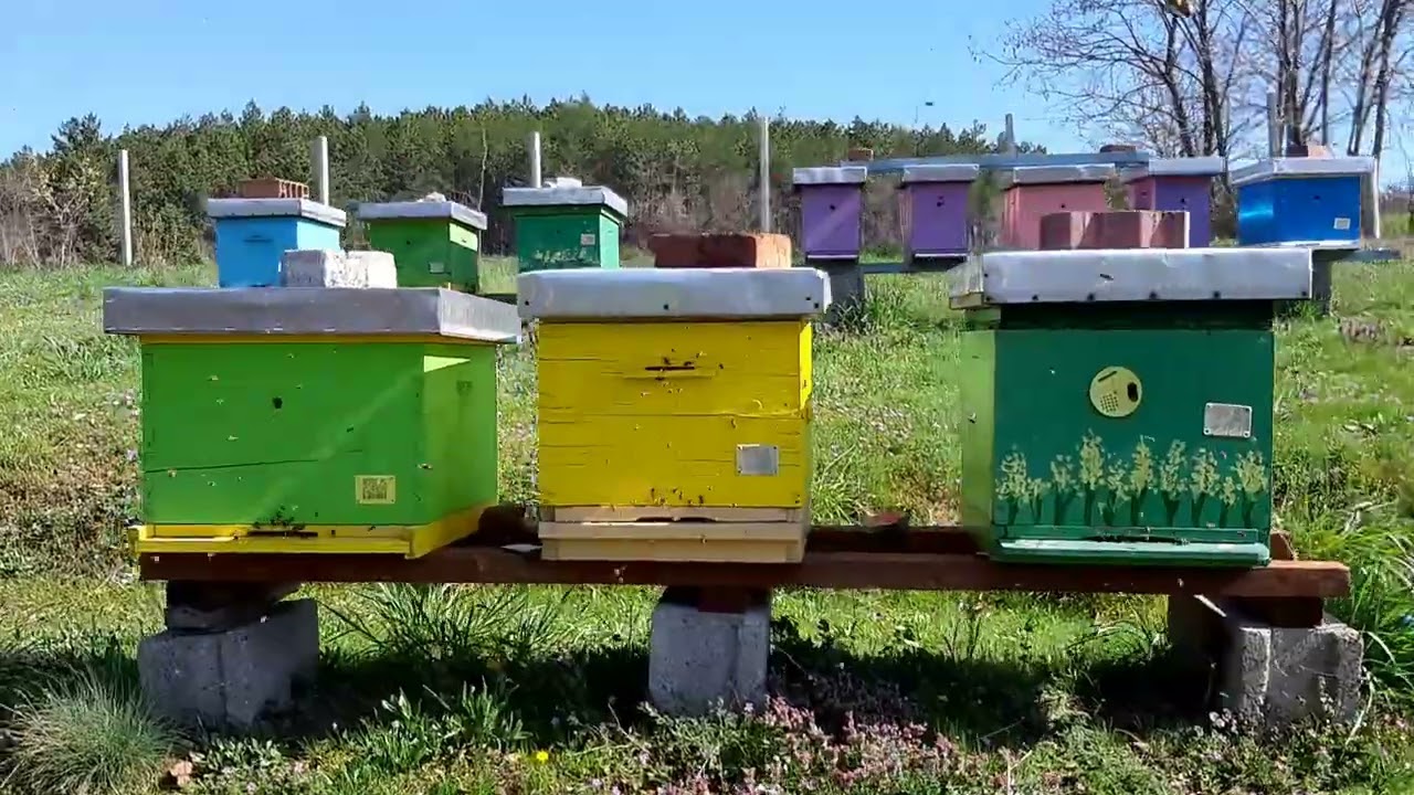 April na pčelinjaku I deo