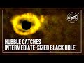 Exploring Black Holes with NASA's Telescopes