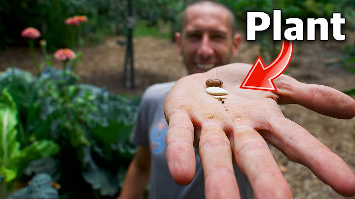 7 Crops You Can Still Plant In July!
