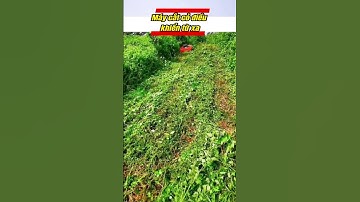 Máy cắt cỏ điều khiển từ xa #maycatco #maycatcodieukhientuxa