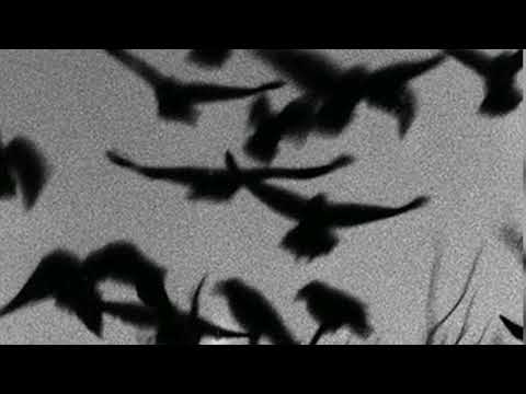 Mnogoznaal - Ветра (slowed)