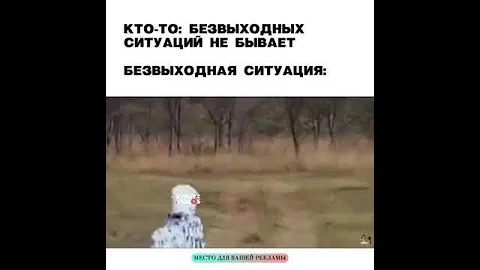 переоделись в зебру не тут то было нападения Львов