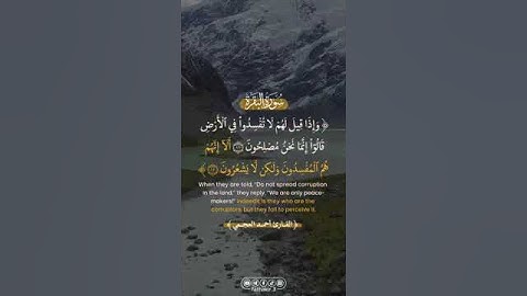 الشيخ احمد العجمي تلاوه خشوع أرح سمعك