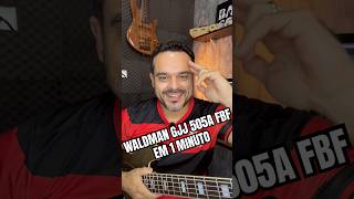 WALDMAN GJJ 505A EM 1 MINUTO