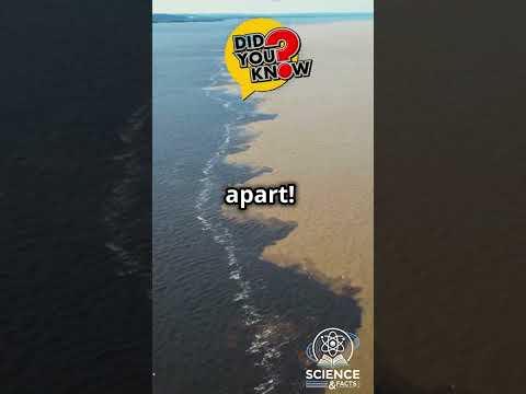 The Science Behind Two Seas Meeting Without Mixing 