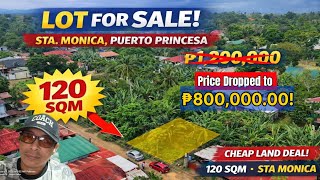 Down to β±800k adjacent lot! Updated March 16, 2025 Down to β±800k adjacent lot! Updated March 16, 2025