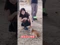 奈良公園のショートバイラル動画、興味深い瞬間 💋👌