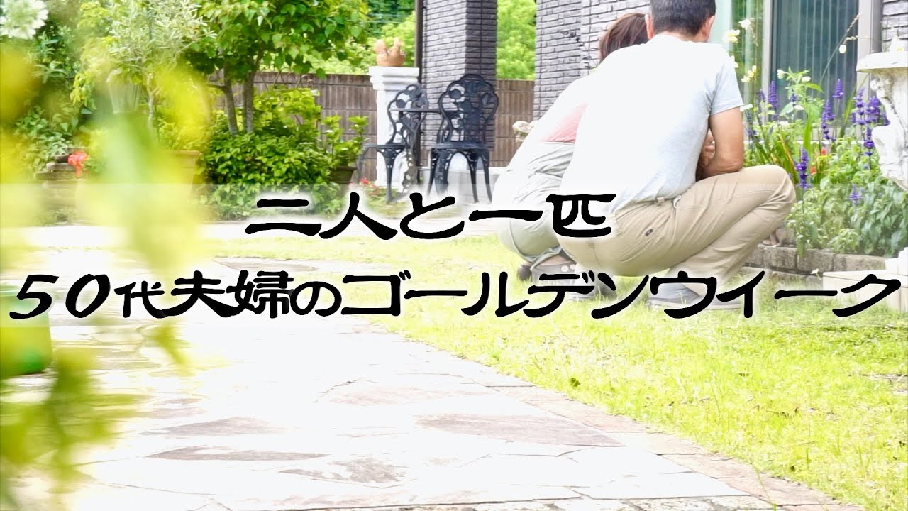 50代vlog 夫婦二人暮らしの日常 二人と一匹50代夫婦のゴールデンウィーク 子育て終わった５０代夫婦の食卓 在宅勤務の夫と過ごすのんびりgw 夫婦でゆるく庭仕事 愛犬はトイプードル Youtube