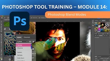 Photoshop 2025 Tool Training – Module 14: Blend Modes