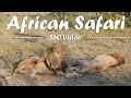 African safari 360  kruger national park