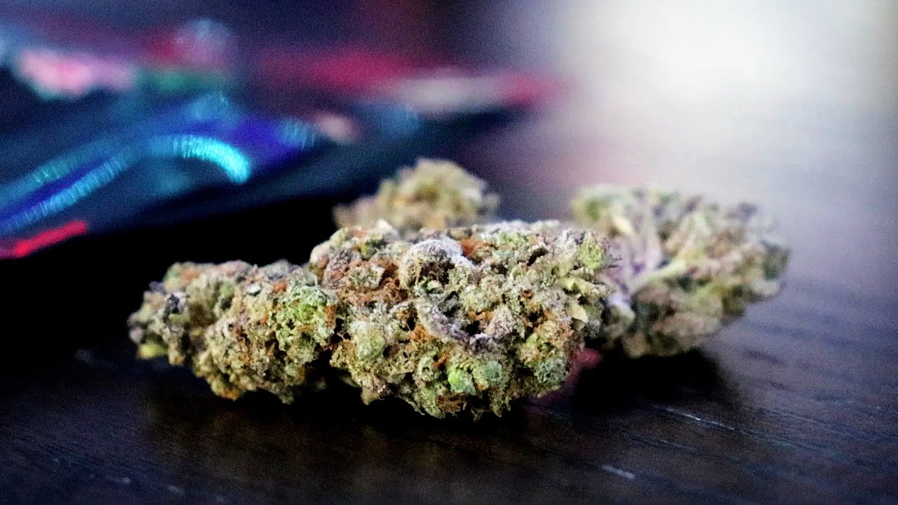 High Thca Dog walker From Kandy Boy YouTube