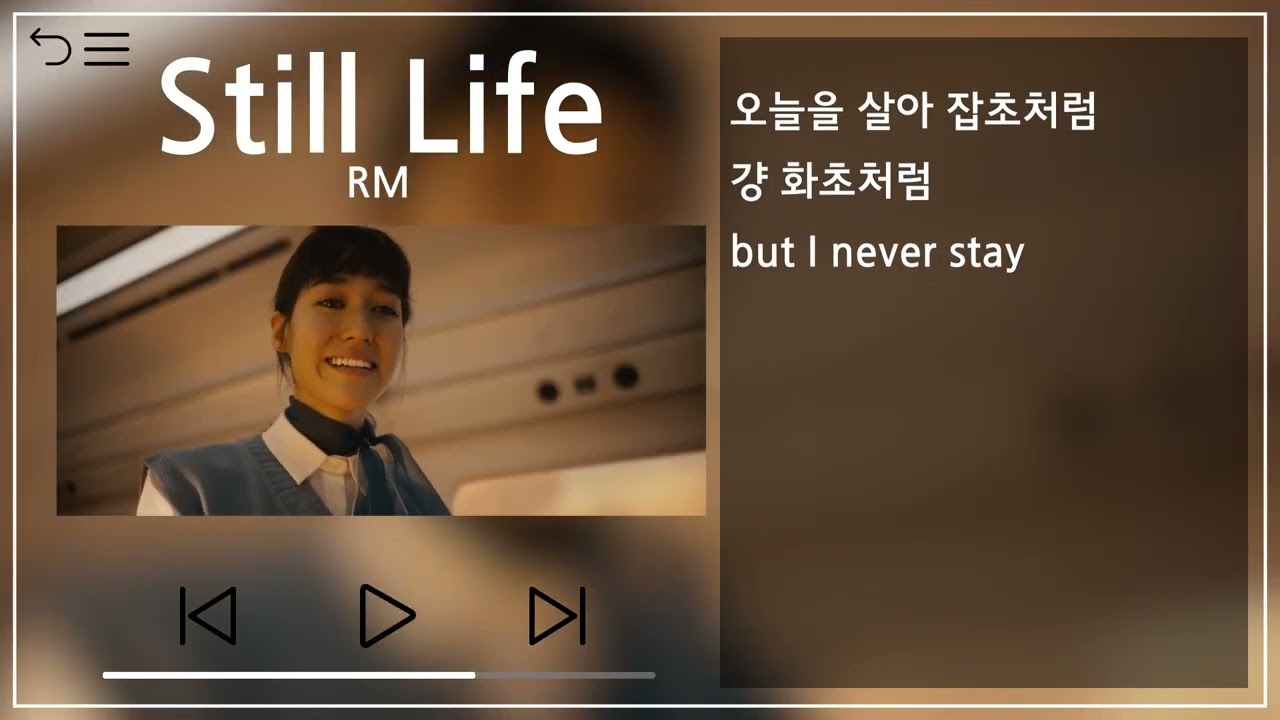 RM - Still Life(with Anderson .Paak) 1시간 반복(1h Repeat) [뮤비\u0026가사 / MV\u0026Lyrics]