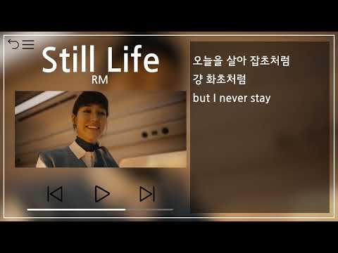 RM Still Life With Anderson Paak 1시간 반복 1h Repeat 뮤비 가사 MV Lyrics 