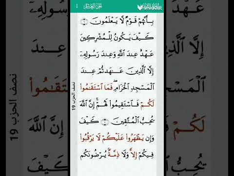 سوره التوبه بصوت القارئ ماهر المعيقلي 