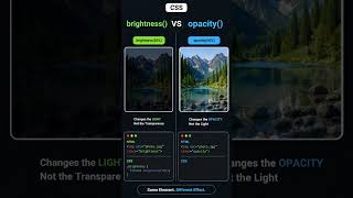 3/100 Tricks: Brightness vs Opacity in CSS 🔥 #python #gsap #coding