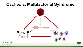 Andrew Koutnik, M.S.: Cancer Cachexia: Current and Future Therapeutics