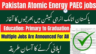 PAEC Internship Program 2025 | Atomic Energy Internship 2025 | How to Apply Online | jobscho