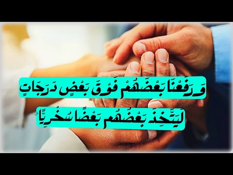 أنت مش أقل من حد الحكمة الخفية وراء المراتب والمناصب