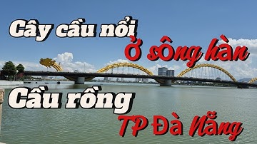 Cây cầu nổi tiếng ở tp đà nẵng [CẦU RỒNG ] bắt ngan con sông hàn || châu ngọc vlog &bonsai