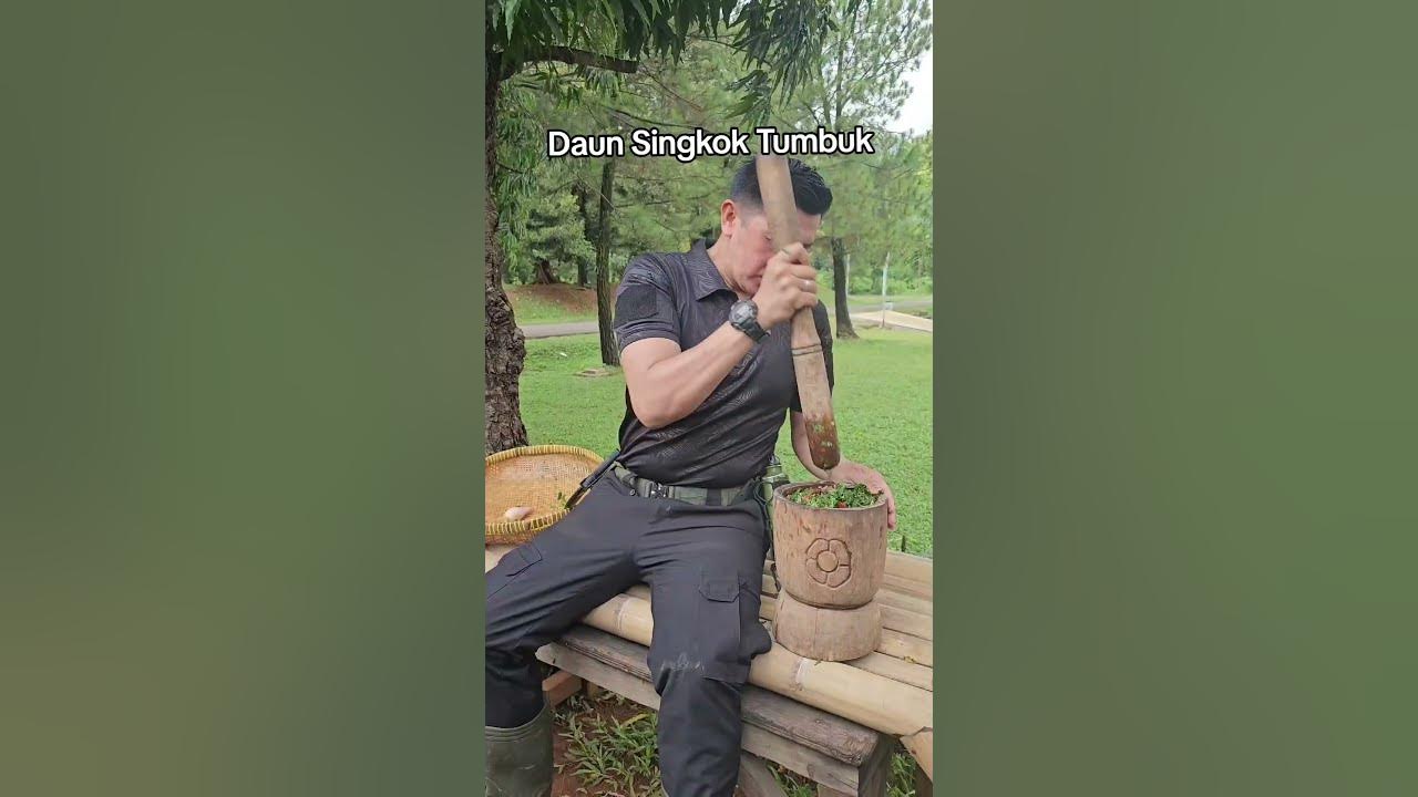 masak daun singkong tumbuk bunga kecombrang #kuliner #food #daunsingkongtumbuk