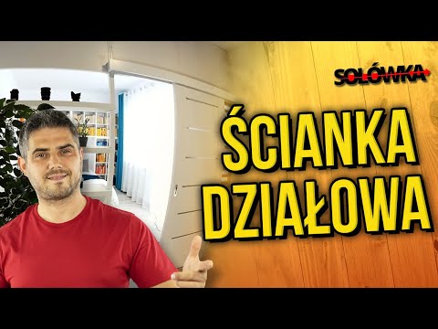 Wideo: Szafa Działowa (44 Zdjęcia): Dwustronne Modele Do Podziału Pokoju Na Dwie Części, Dwustronne Opcje We Wnętrzu