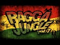 RAGGA JUNGLE vol. 7 - Drum n Bass Mix