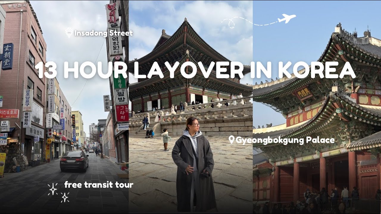 13 часов в Корее!!🇰🇷| Видеоблог о пересадке🛫