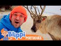 Blippi Passa o Natal com as Renas! | Blippi em Português | Vídeos Educativos para Crianças