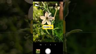 Creative Mobile Photography Using Pro Mode 📸#shorts