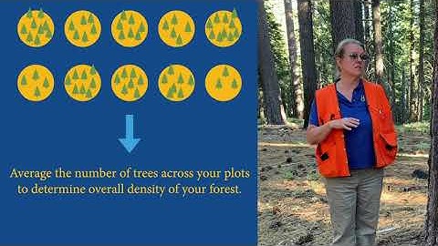 Plot layout and inventory system