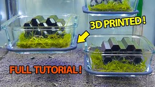 Impression 3D résine et aquariophilie ? – Mr Hackquarium