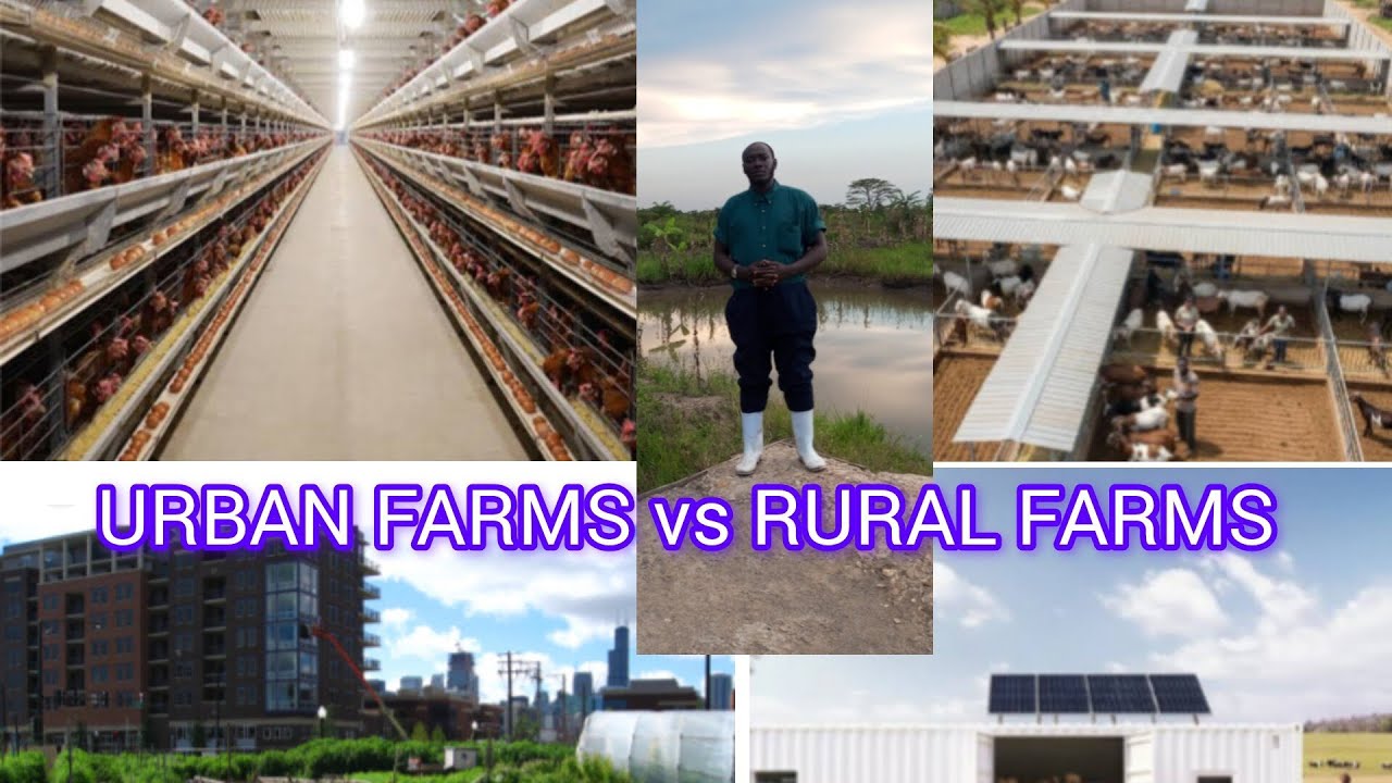 URBAN FARMS VS RURAL FARMS: Which is better?