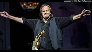 Obstacles In My Way - Walter Trout