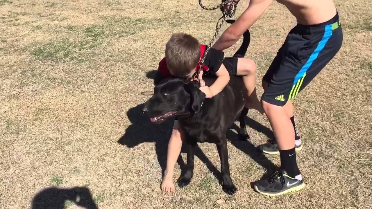Kid rides dog!! - YouTube