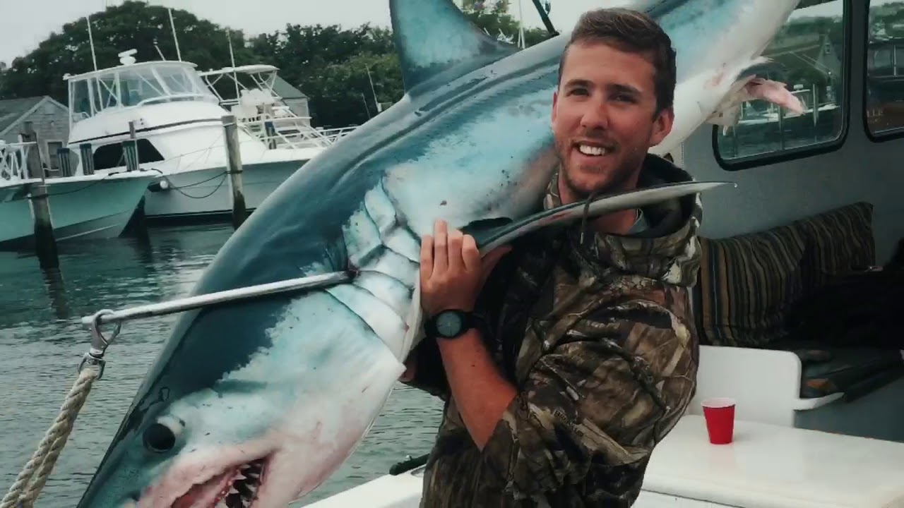 Shark Fishing Nantucket YouTube