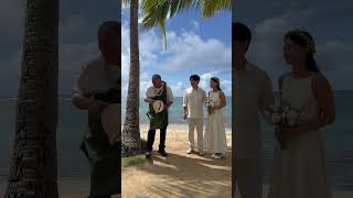 예그리나하와이에서 시작된 둘만의 특별한 하루 When your dream wedding happens in real life on a beach in Hawaii 🌺#하와이웨딩