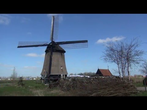 Video: Uddannelsestur Til Holland 