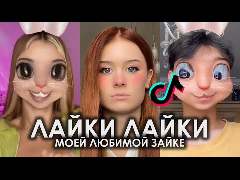 ЛАЙКИ ЛАЙКИ МОЕЙ ЛЮБИМОЙ ЗАЙКЕ TIK TOK ПОДБОРКА | ЛАЙКИ ЛЮБИМОЙ ЗАЙКЕ ПОДБОРКА ТИКТОК