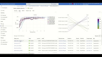 How to build, deploy & test an image classification model with AutoML for Images (Python SDK v2)