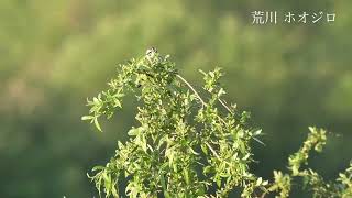 Hyoko Weekly 2026 05 06 No1